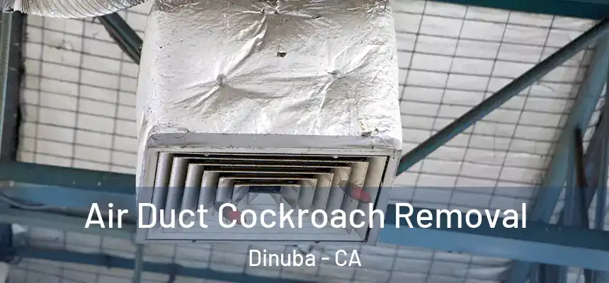 Air Duct Cockroach Removal Dinuba - CA