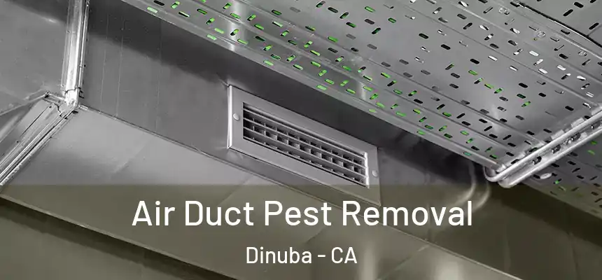 Air Duct Pest Removal Dinuba - CA