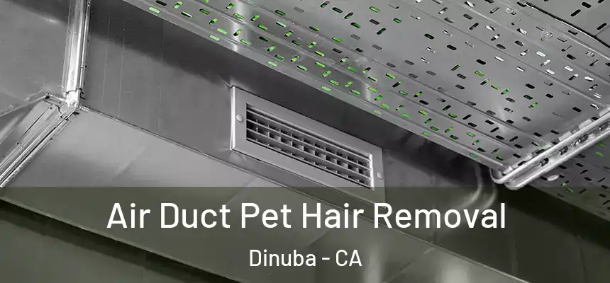 Air Duct Pet Hair Removal Dinuba - CA