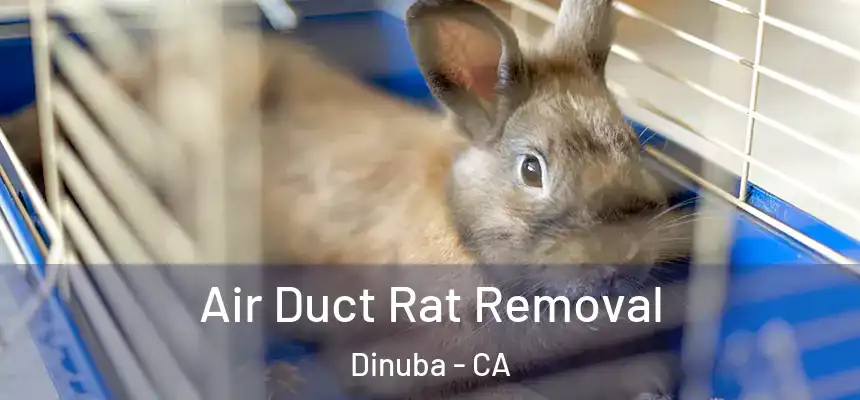  Air Duct Rat Removal Dinuba - CA