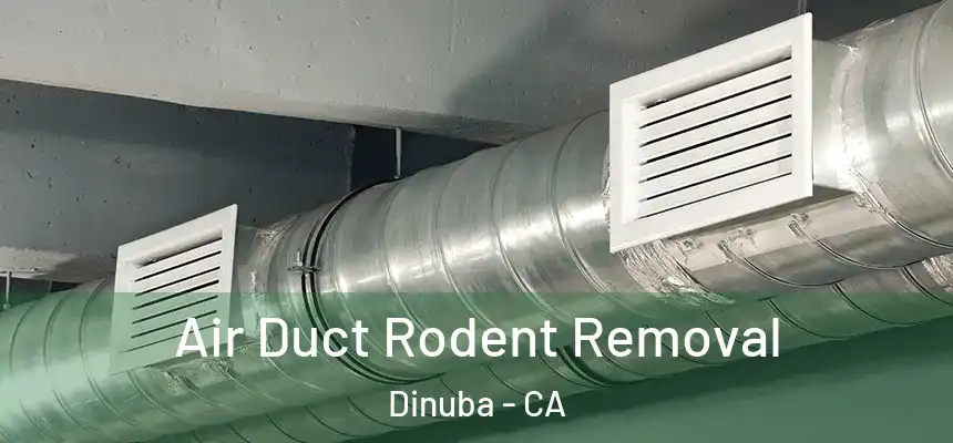  Air Duct Rodent Removal Dinuba - CA