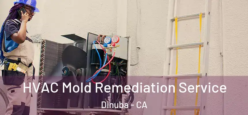 HVAC Mold Remediation Service Dinuba - CA