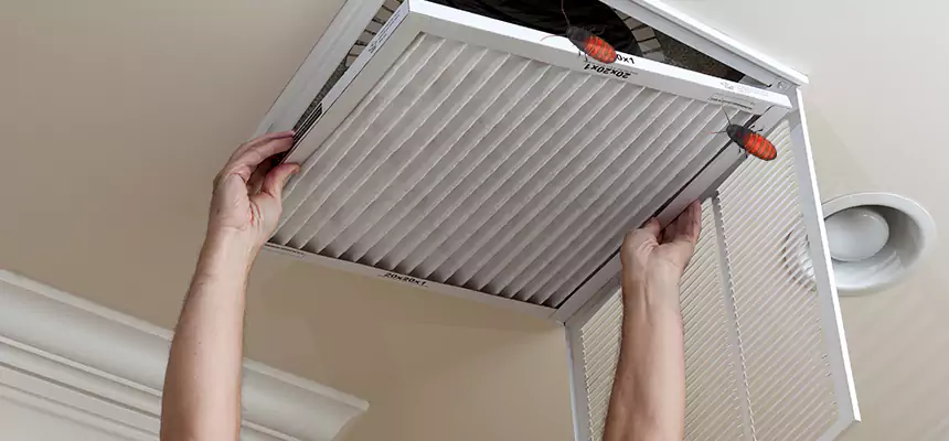 Our Insect Removal from Air Ducts Services in Dinuba, CA