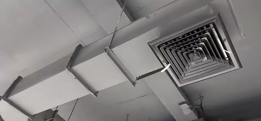 Our Pest Removal From Ducts Services in Dinuba, CA