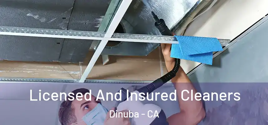 Licensed And Insured Cleaners Dinuba - CA