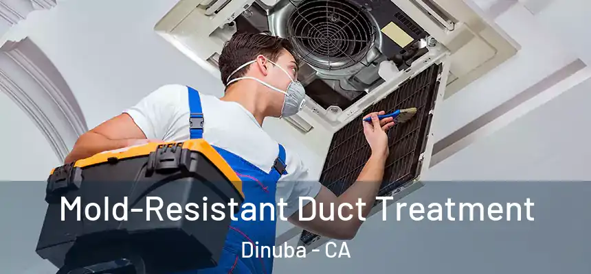  Mold-Resistant Duct Treatment Dinuba - CA