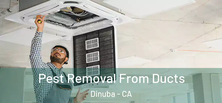 Pest Removal From Ducts Dinuba - CA