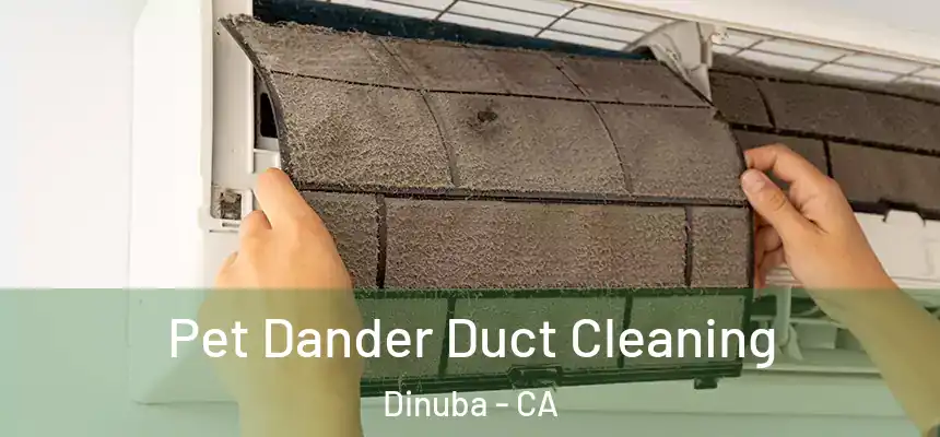 Pet Dander Duct Cleaning Dinuba - CA