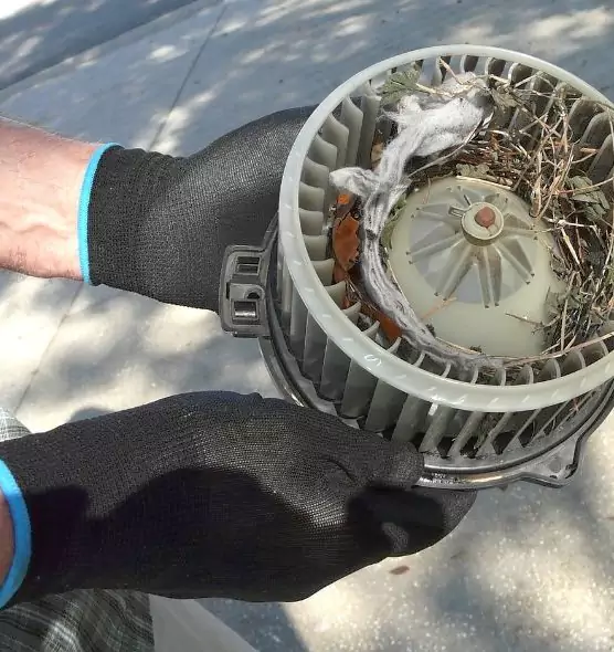 About Air Duct Mice Removal in Dinuba, CA