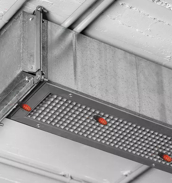 Affordable Insect Removal from Air Ducts in Dinuba, CA