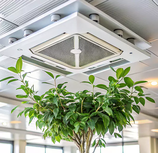 Why Homeowners & Businesses Trust Us in Dinuba, CA