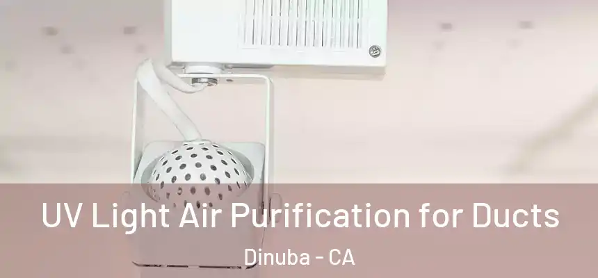  UV Light Air Purification for Ducts Dinuba - CA